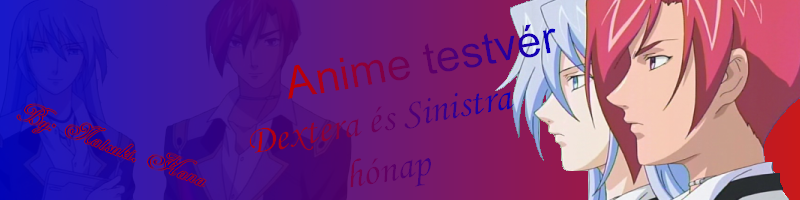 animetestver